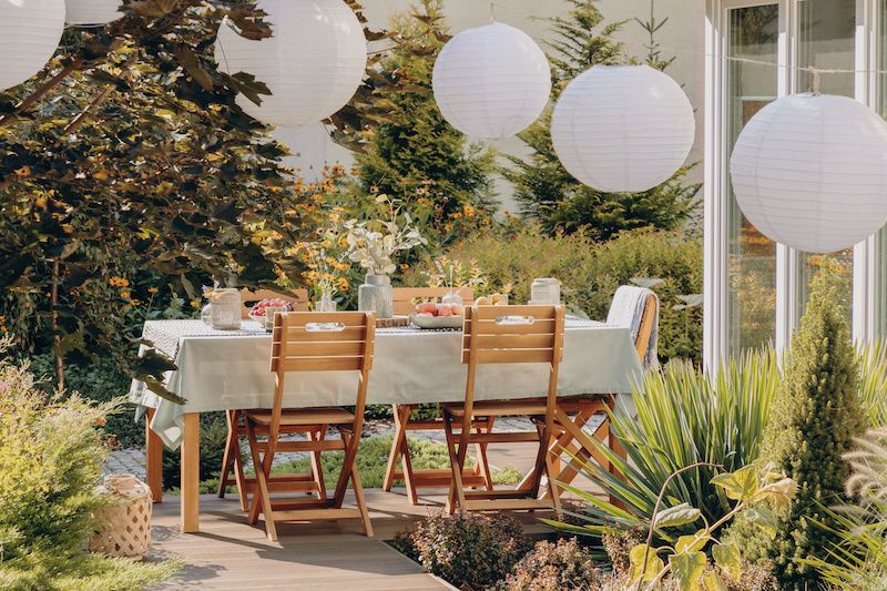 sunny backyard garden with sun-loving plants and tree having table and chairs set up with spherical lights