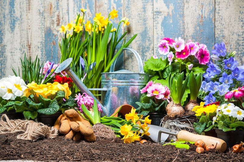 Piled up plant and flower harvest