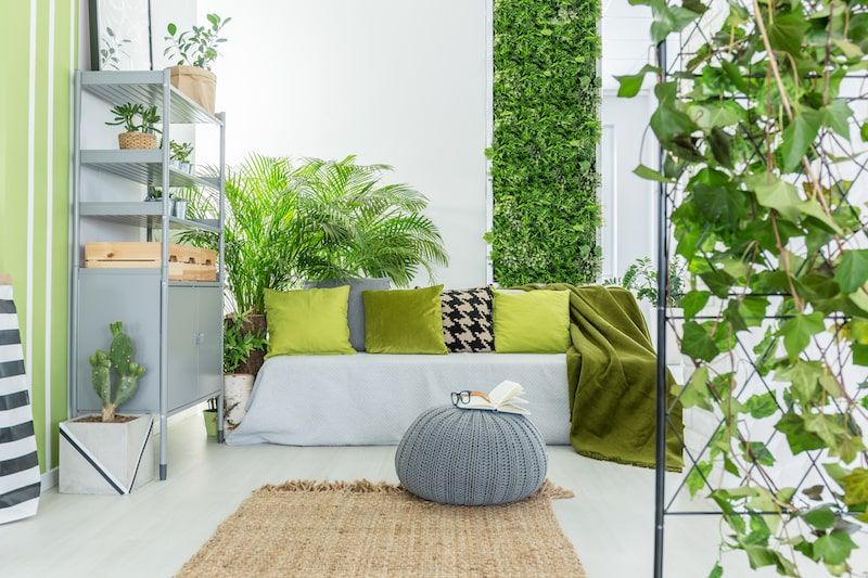 herbs and plants in a room