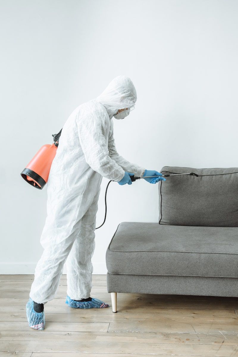 sanitizing a sofa