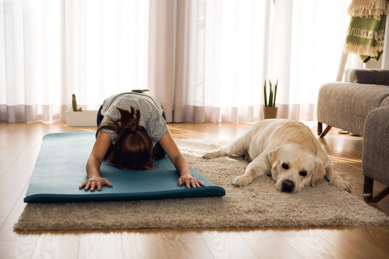 woman and pet doing exercise