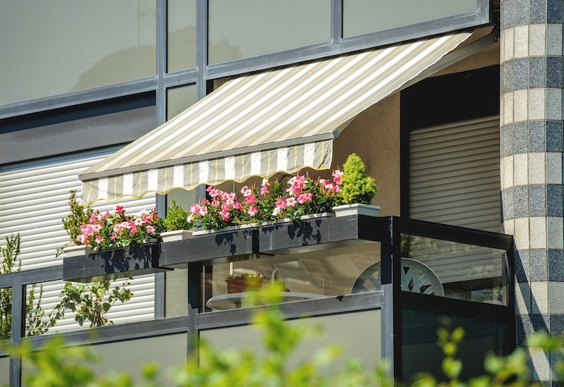 Plants being protected from the harsh sun