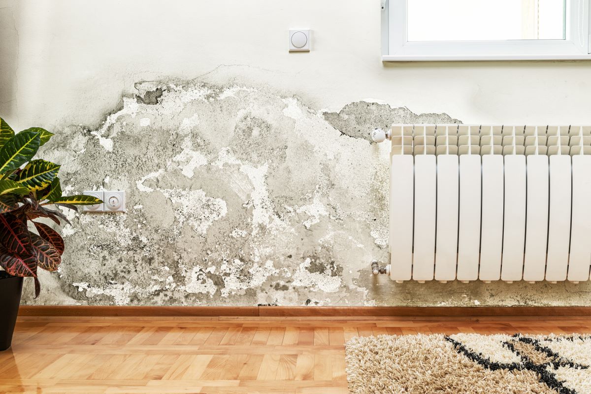 Efflorescence or white deposit on the wall