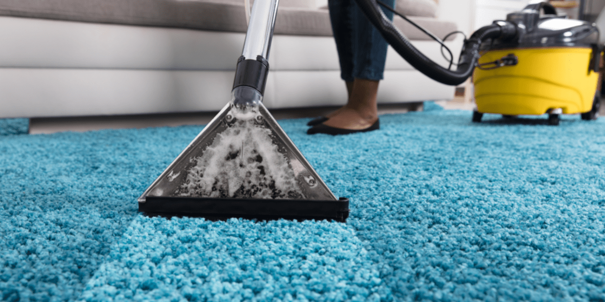 Tips to remove pet hair, vacuum cleaner for cleaning pet fur