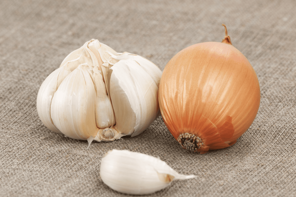garlic and onion, onion for cockroaches