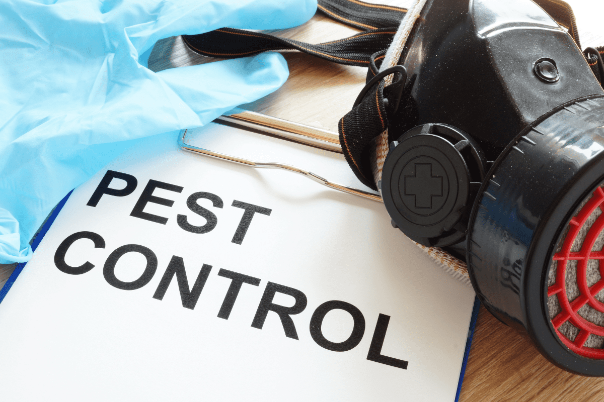 pest control services, cockroach control