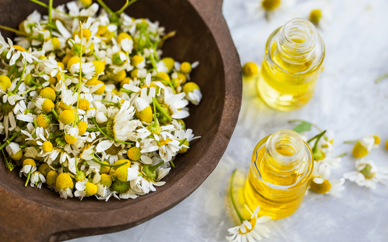 benefits of chamomile essential oil