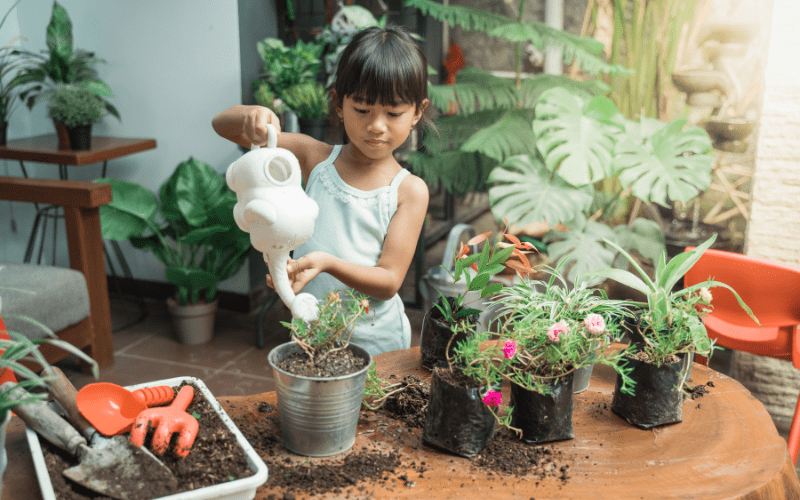 how to grow plants , nature friendly ideas