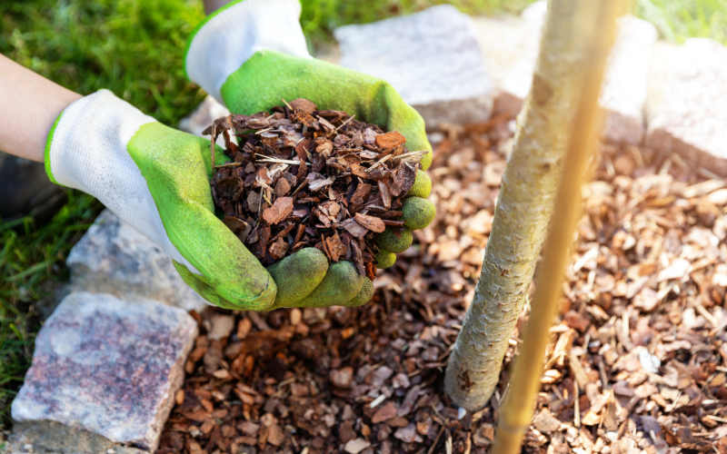 How To Naturally Get Rid Of Weeds Without Harming Your Garden