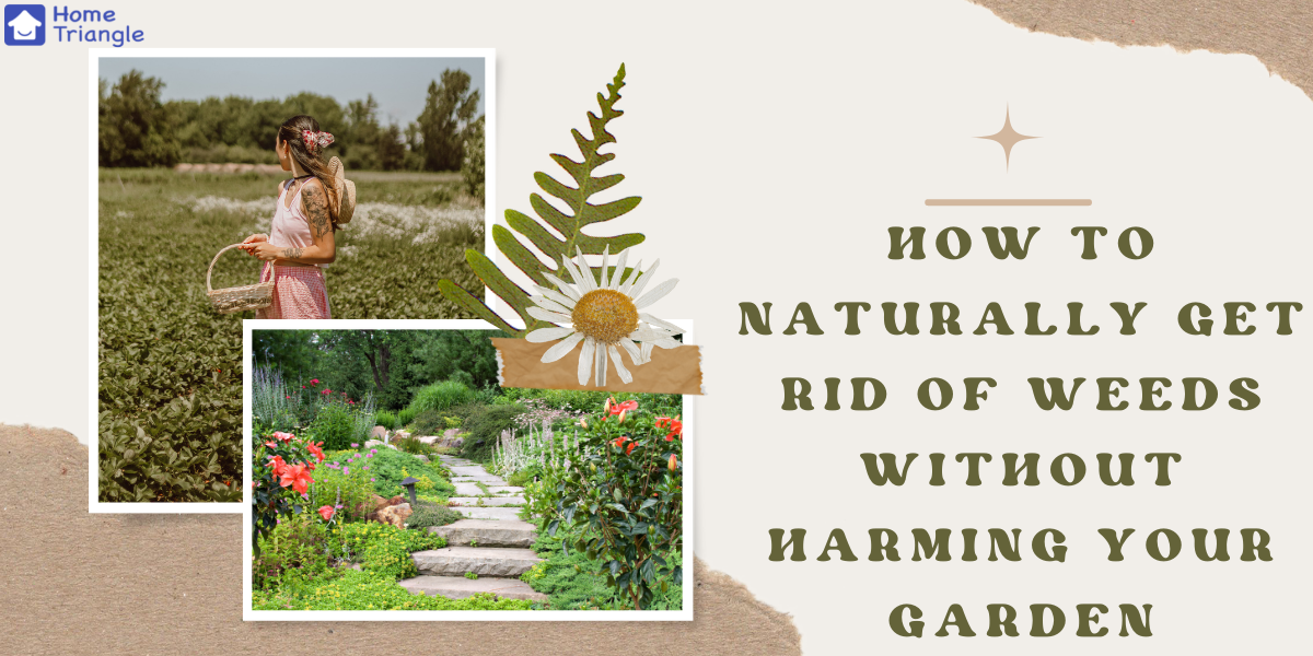 How To Naturally Get Rid Of Weeds Without Harming Your Garden