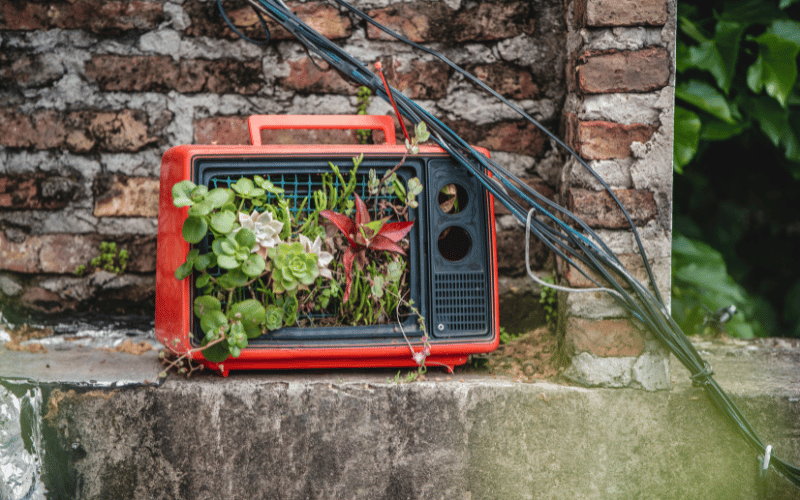 An Old TV repurposed as a garden planter