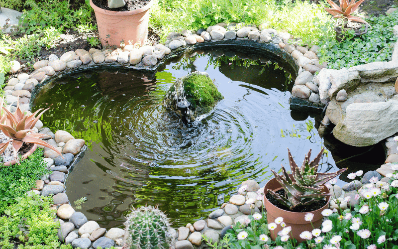DIY Garden pond with fountain