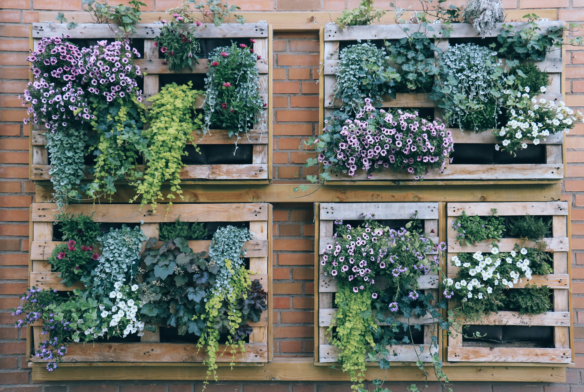 living wall raised garden bed