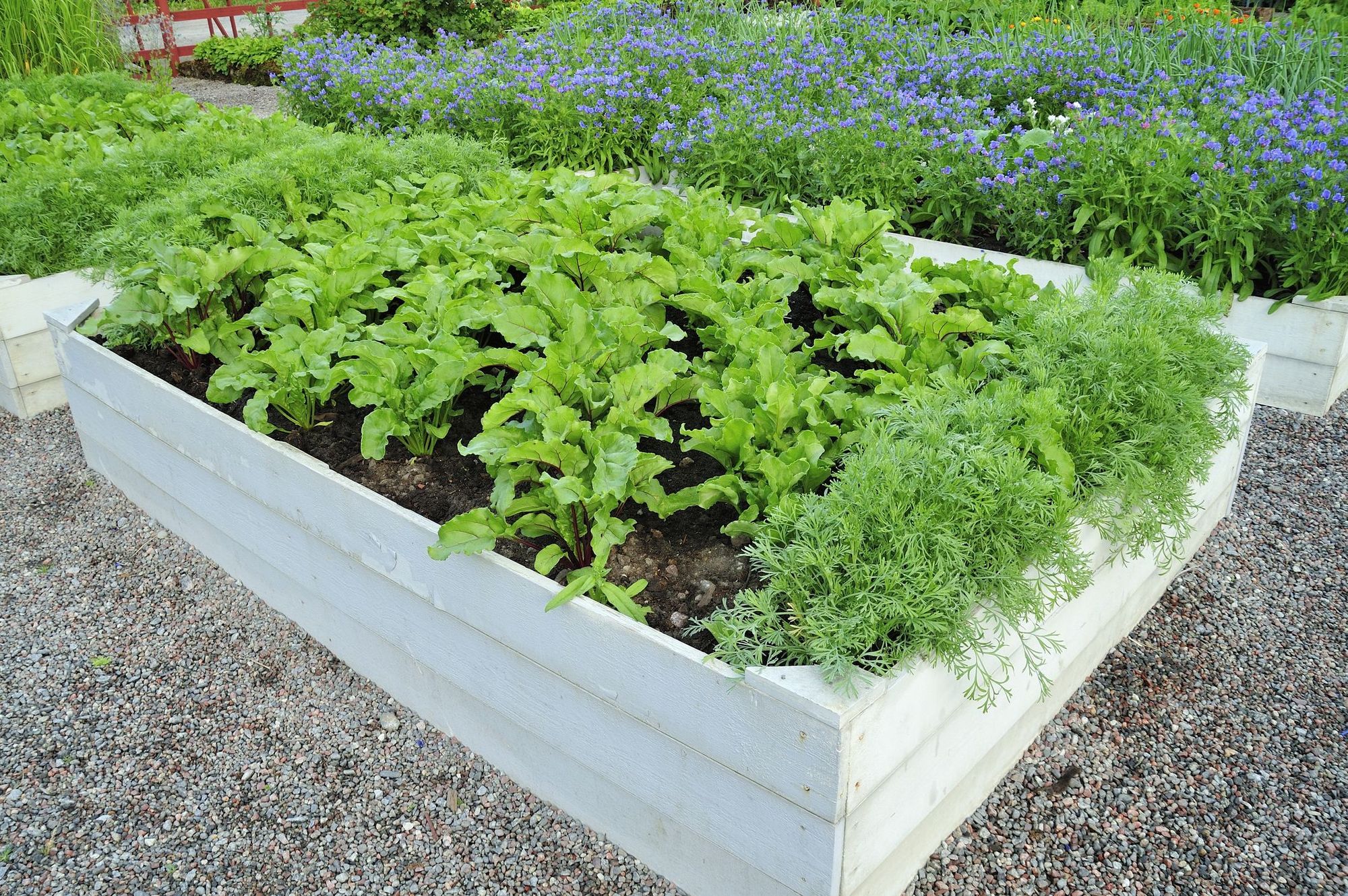 rustic garden bed
