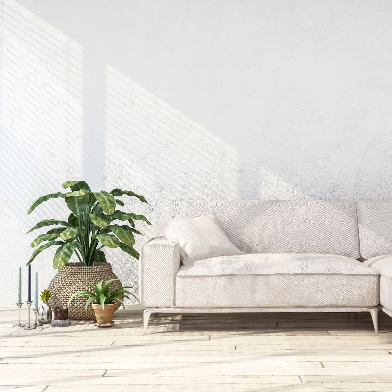 plant decor for living rooms