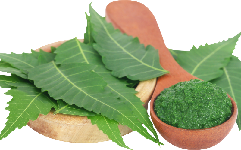 Neem leaves paste