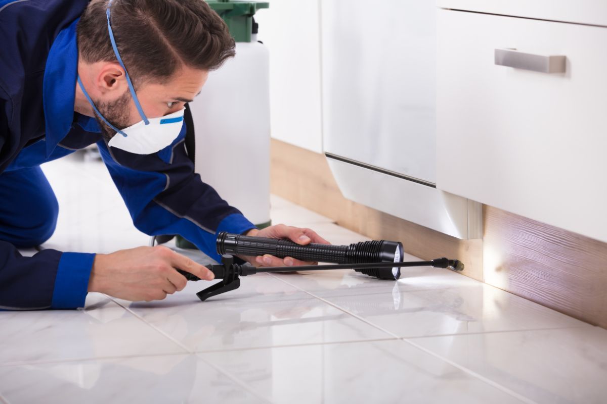 Visual Identification of pest control