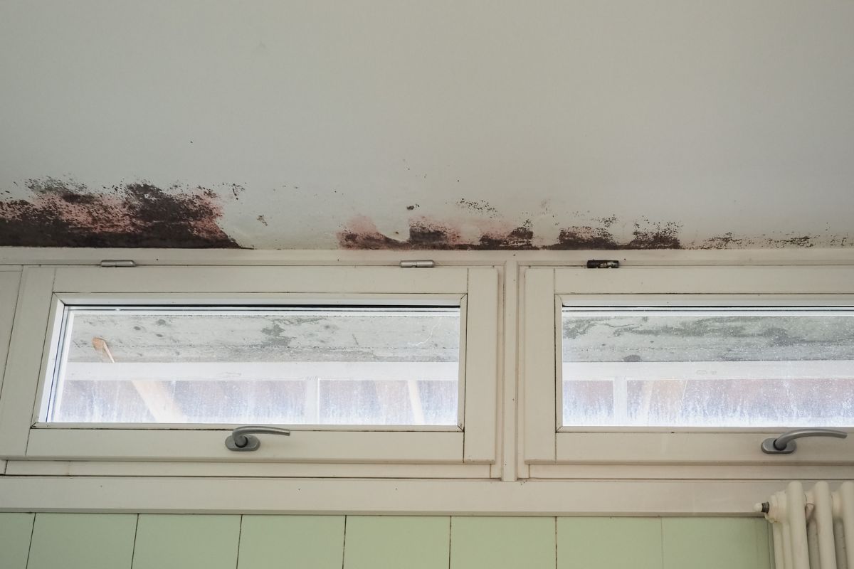 Moisture Meters Essential Tools for Water Damage Analysis