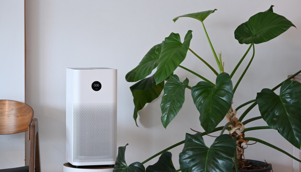 The Best Air Purifiers for Cleaner Indoor Air