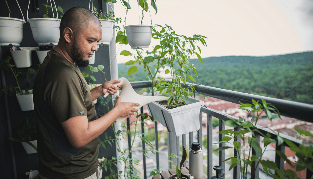 Man taking care of his mini garden in his balcony