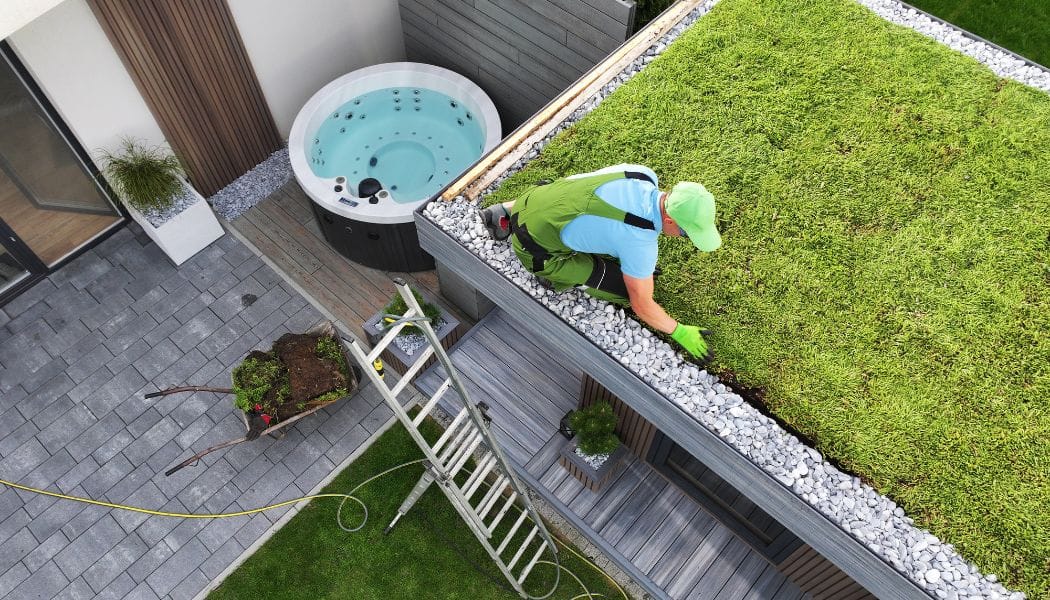 Expert Installing a Green Roof