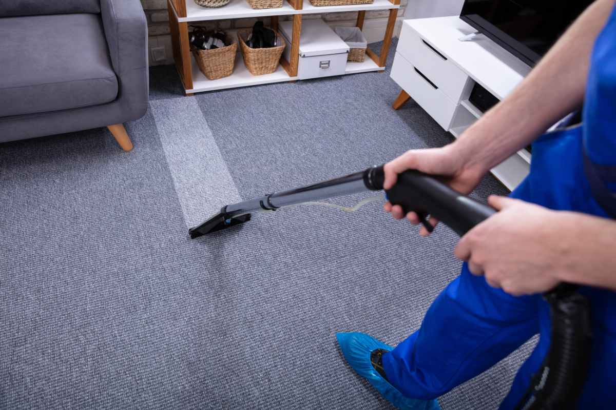 Professional carpet cleaning at home