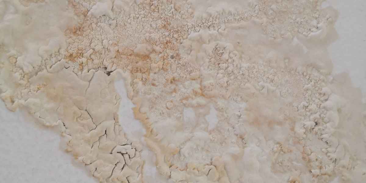 Protect Your Home from Seepage and Leakage this Monsoon