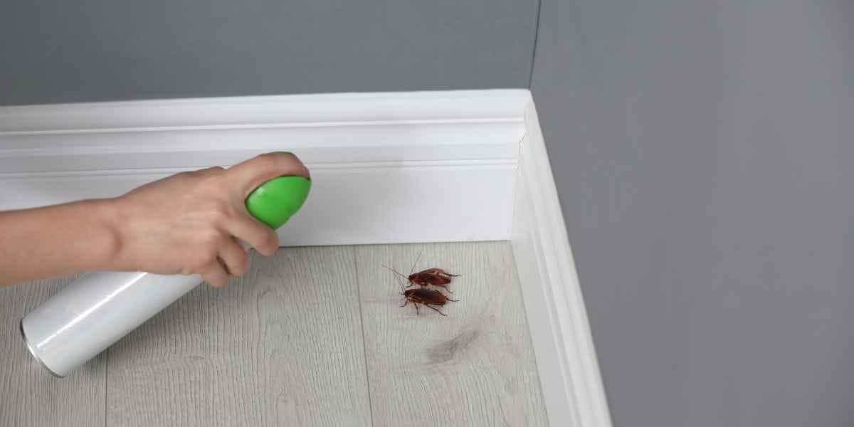 How To Deal With Cockroach Infestation: A Homeowner's Guide