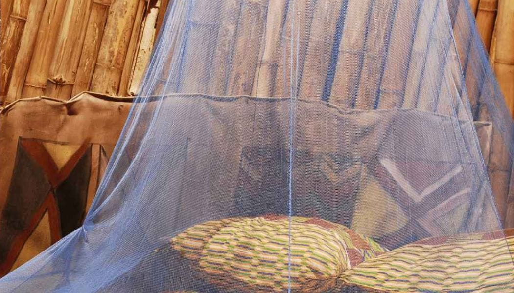 Wedge Mosquito Net