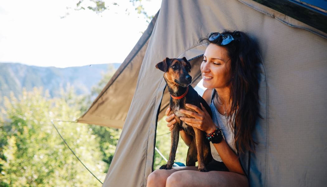 camping with a pet dog on a rooftop tent