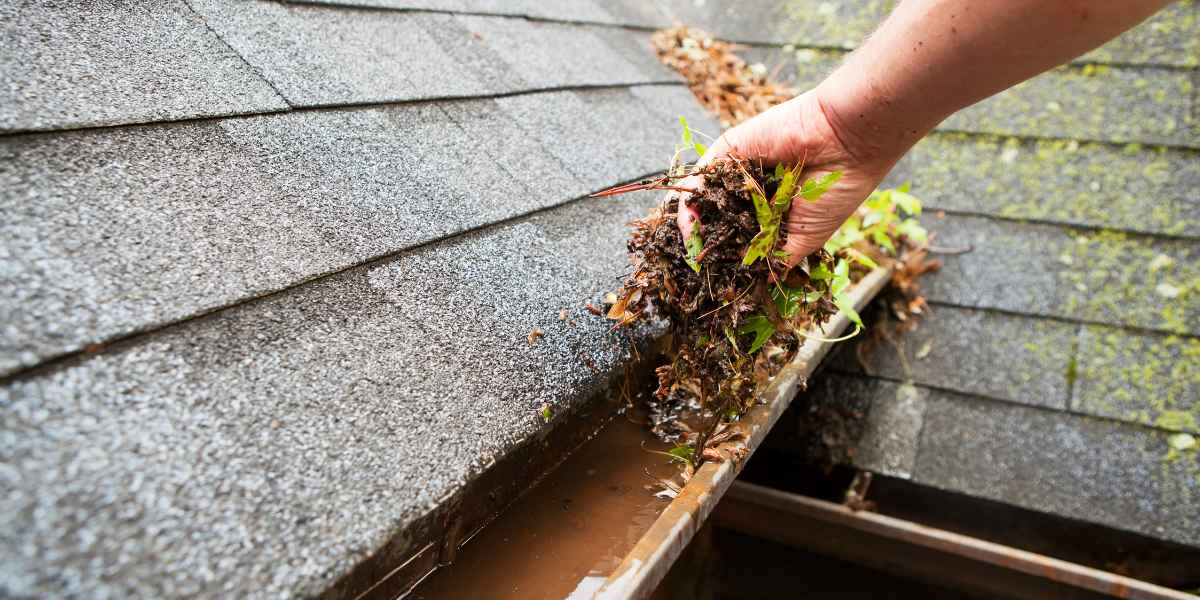 clean gutters