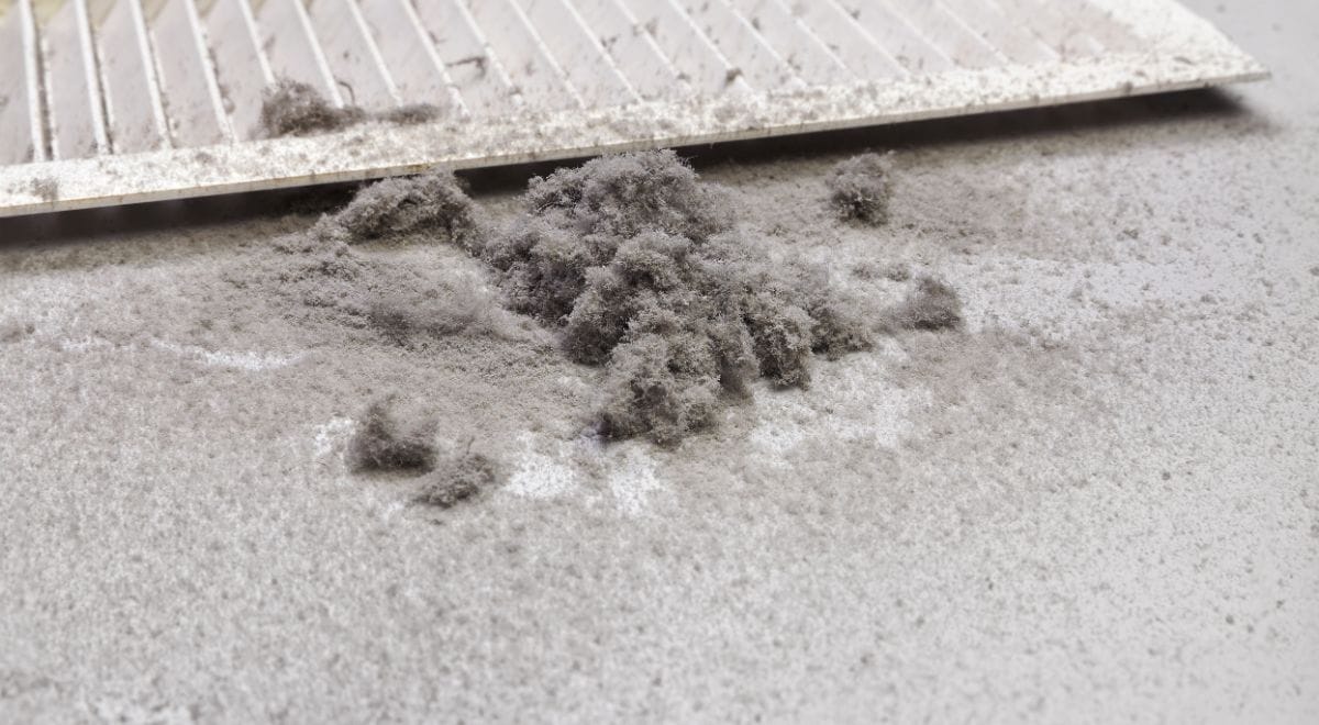 dust collected from AC duct