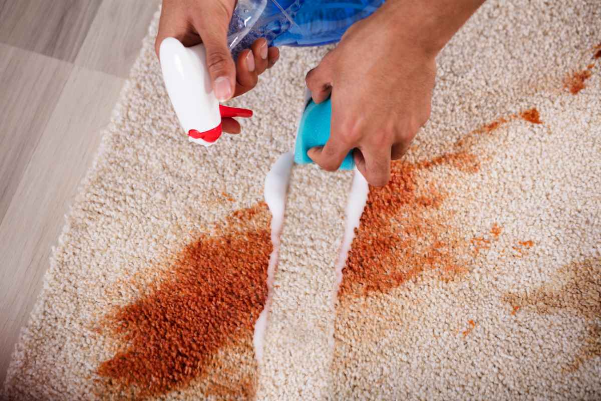 carpet spills cleaning