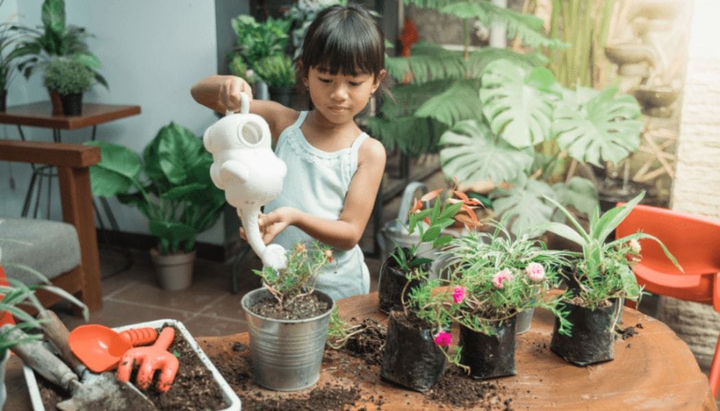 how to grow plants, nature friendly ideas