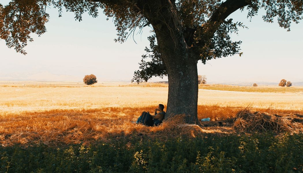 man sitting under the shade of a tree in a farm