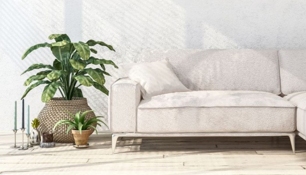 plant decor for living rooms