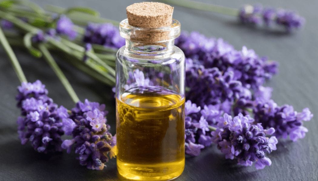 benefits of lavender essential oil