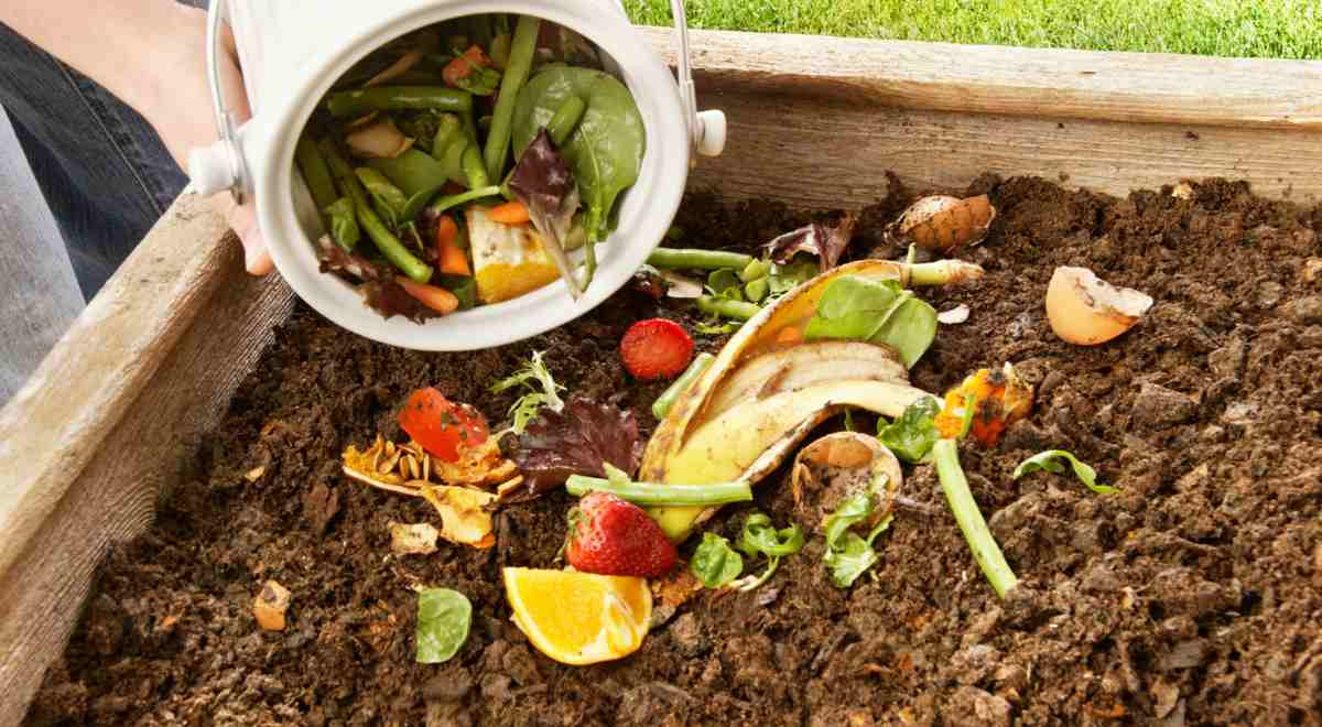 composting waste