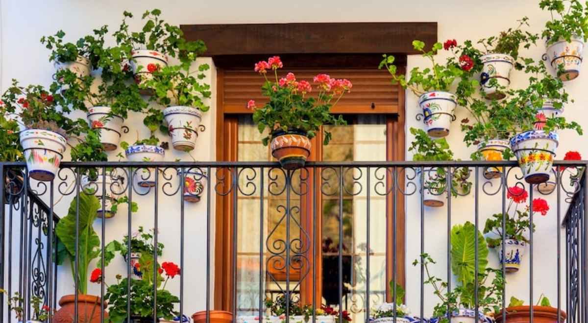 flower pots on the balcony