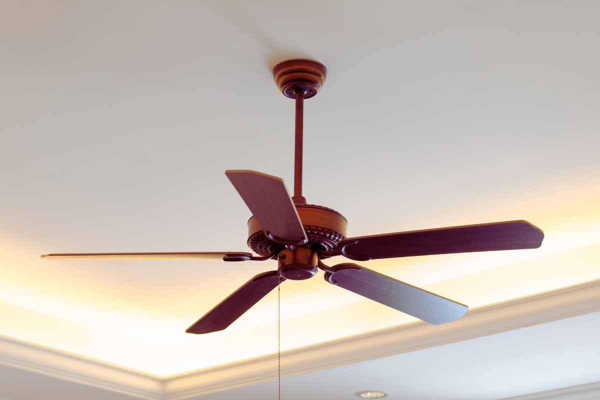 ceiling fan with rustic charm