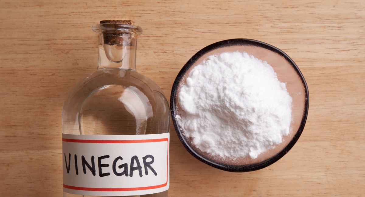 A vinegar bottle located on a table along with its powdery form.