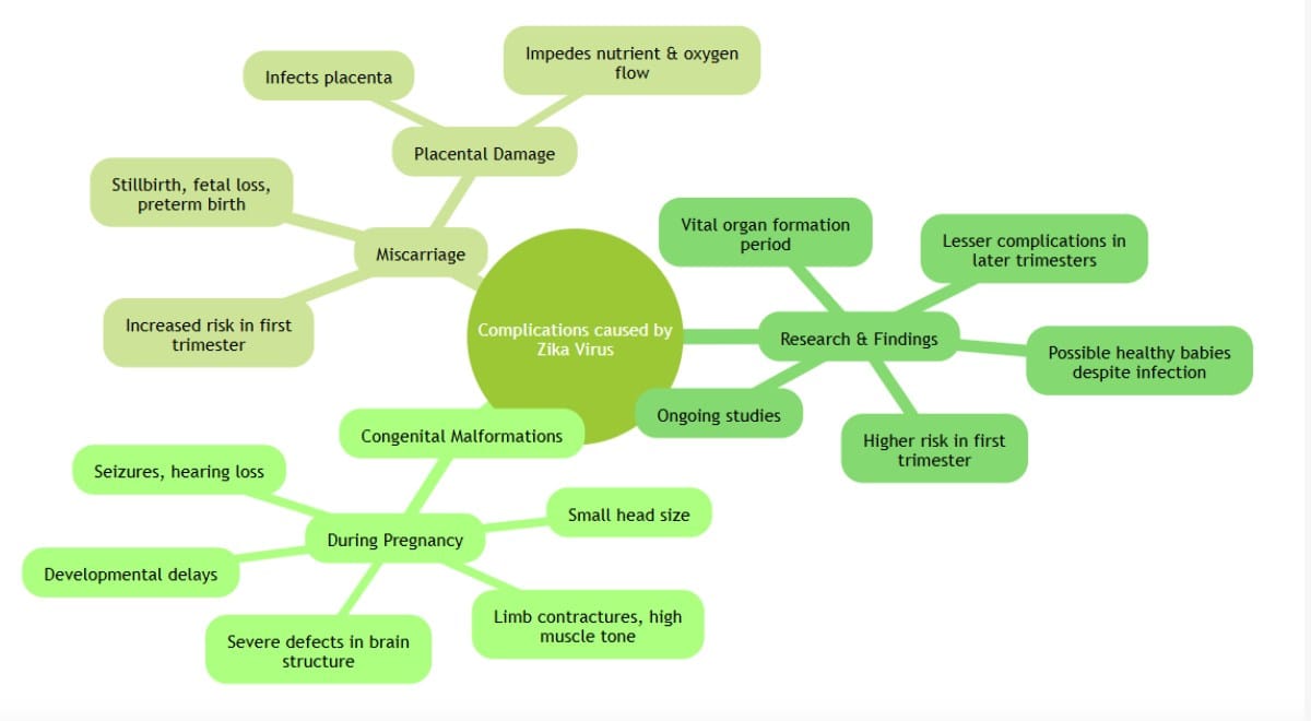 illustrative representation on the complications caused by Zika Virus