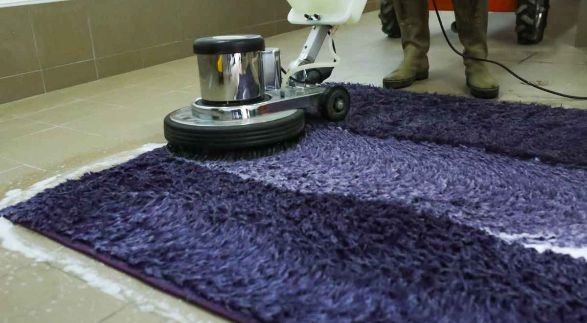 hard brushing the carpet