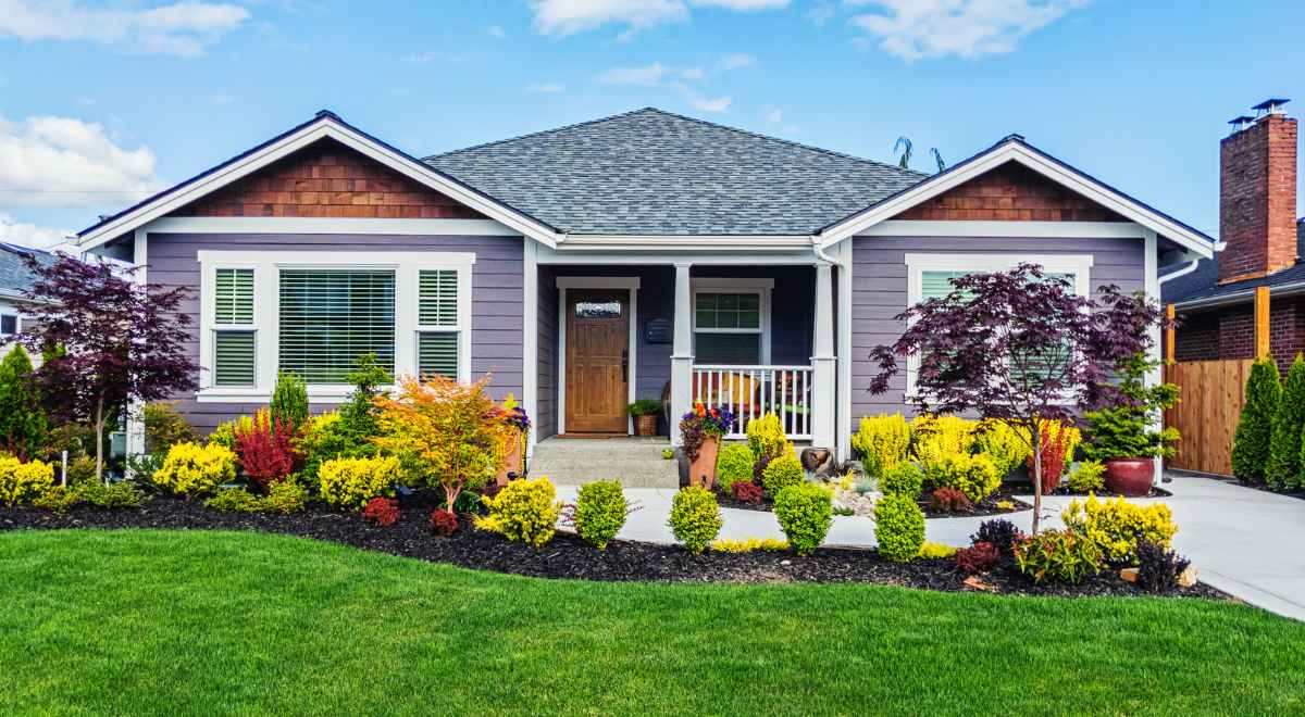 house with a garden