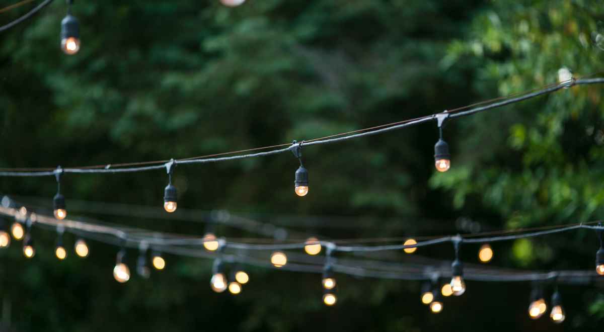 lights in a garden