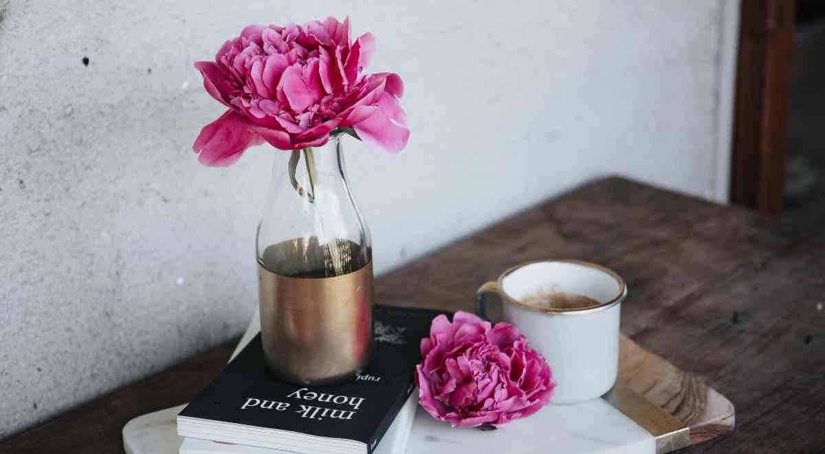 Image portraying plants in coffee table