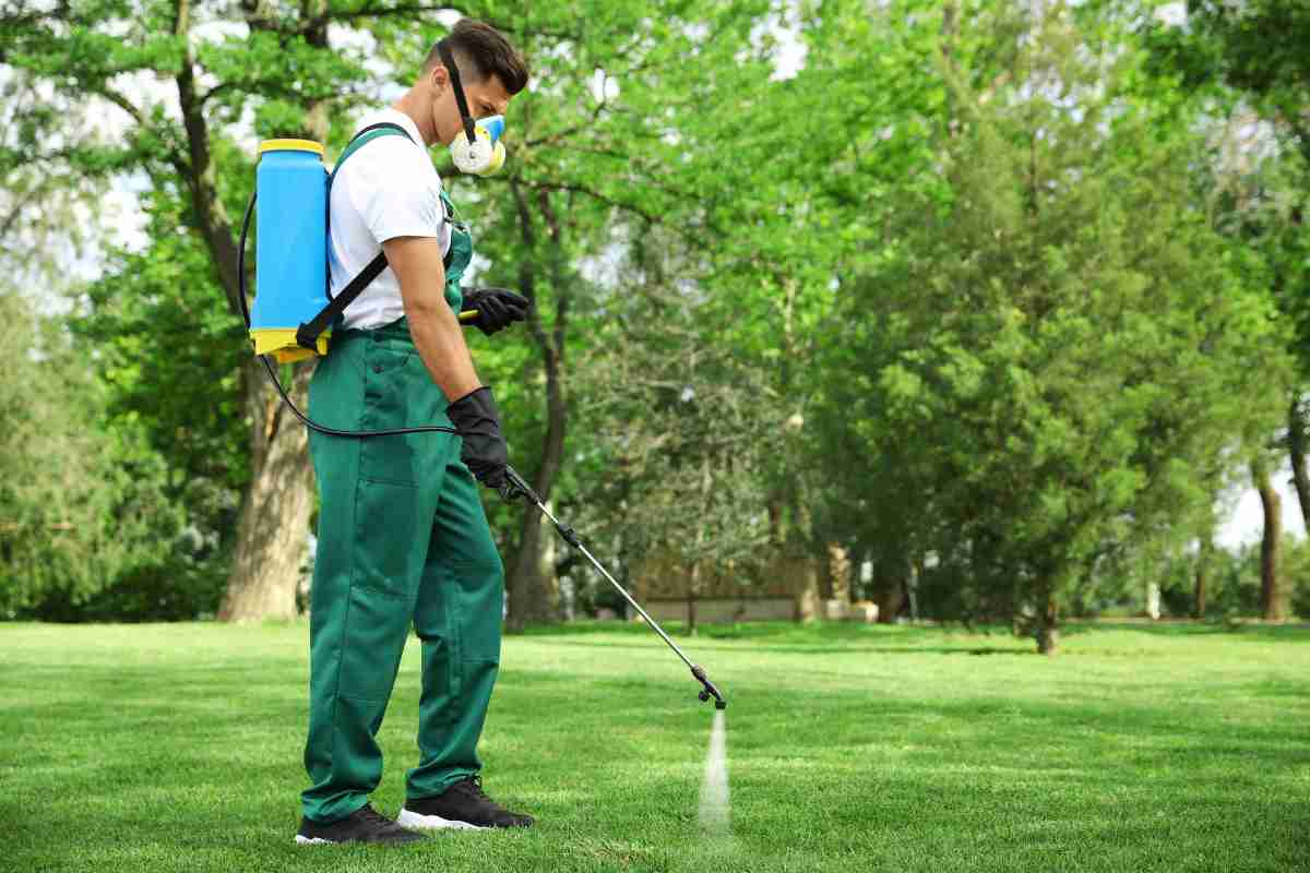 A Complete Guide to Preparing for Pest Control Services