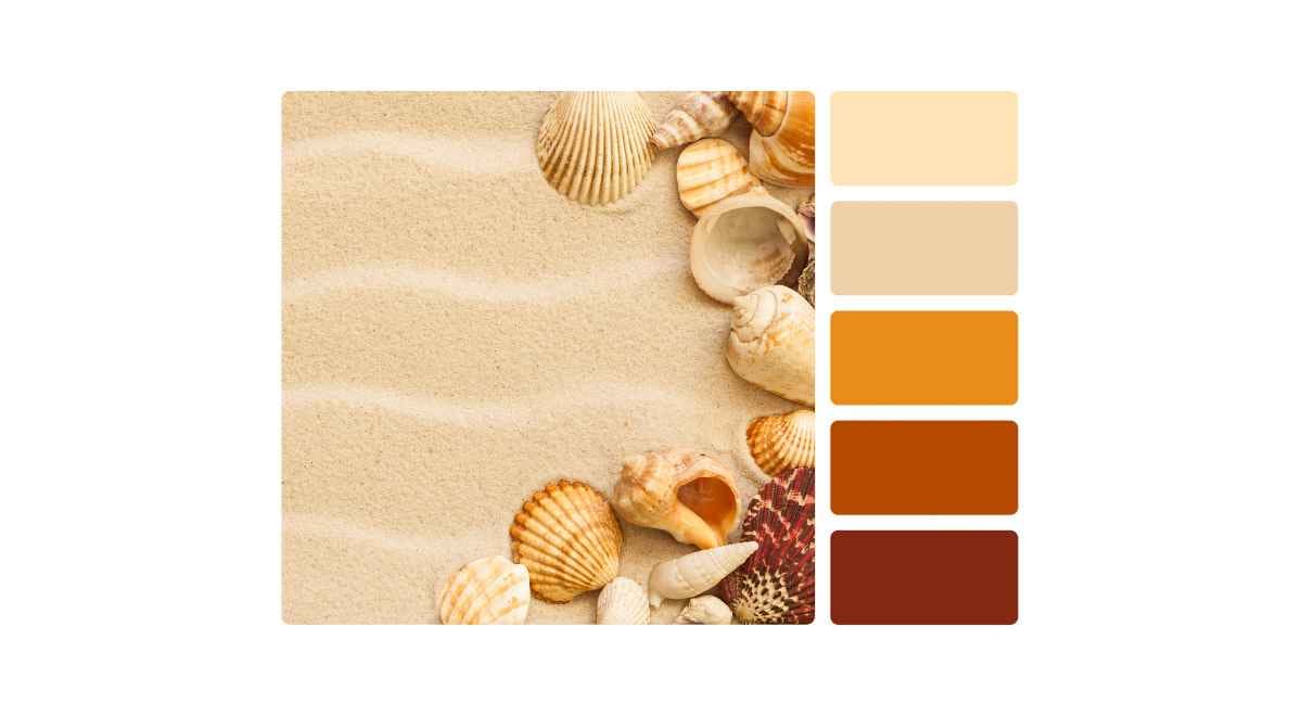 sea shell color palette