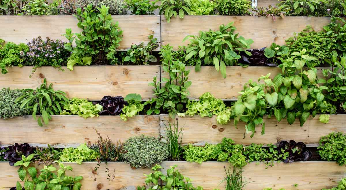 Breathe Life Into Your Home, Use Vertical Gardens