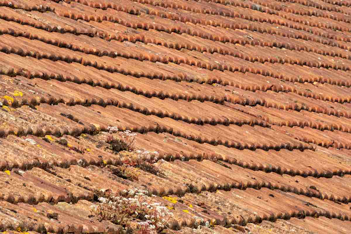 Avoid Roof Sagging in the Future